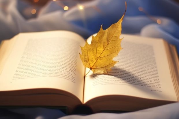 管理学专升本专业山东 山东管理学院专升本专业介绍：物流管理专业？