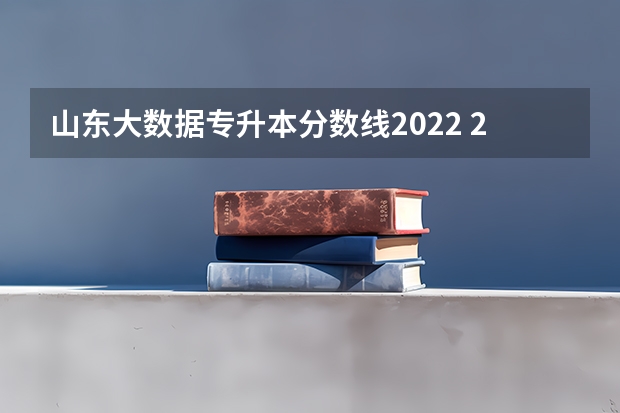 山东大数据专升本分数线2022 2022年专升本各校录取分数线