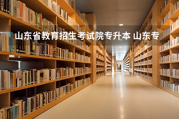 山东省教育招生考试院专升本 国际学校信息网网址是什么？