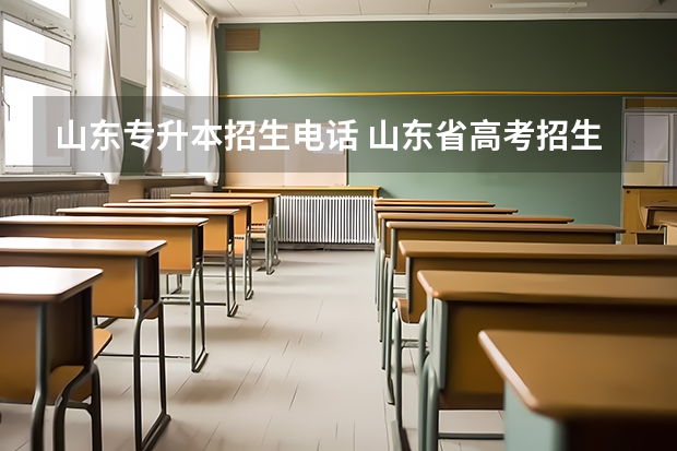 山东专升本招生电话 山东省高考招生办电话是什么