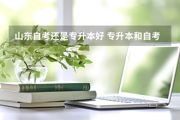 山东自考还是专升本好 专升本和自考本科哪个更好