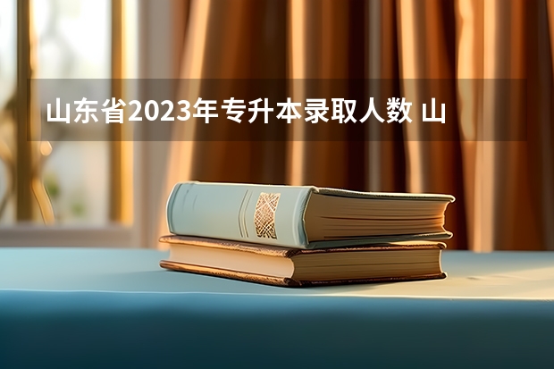 山东省2023年专升本录取人数 山东省专升本录取率 2023山东专升本招生人数