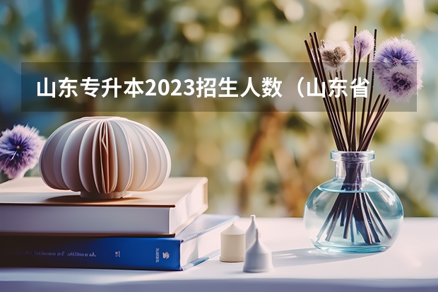 山东专升本2023招生人数（山东省2023年专升本录取人数）
