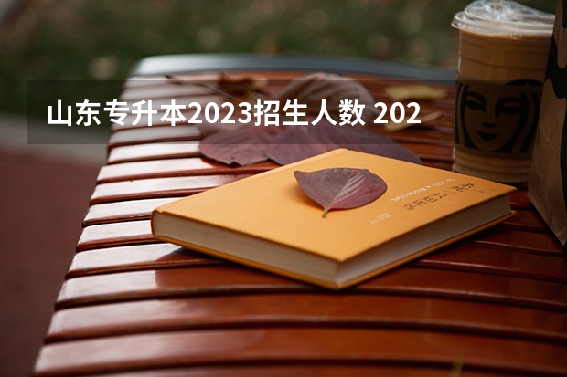 山东专升本2023招生人数 2023年山东专升本学前教育报考人数