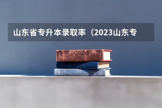 山东省专升本录取率（2023山东专升本招生人数）