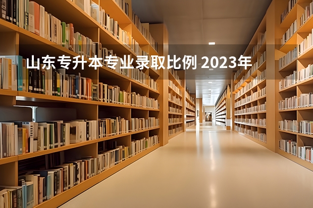 山东专升本专业录取比例 2023年山东专升本录取多少人
