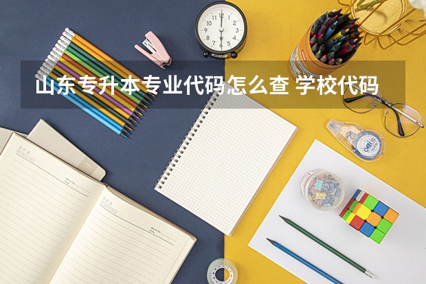 山东专升本专业代码怎么查 学校代码及专业代码查询网是哪个？