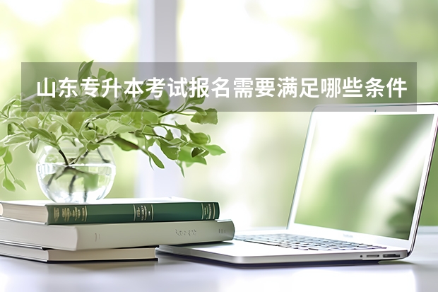 山东专升本考试报名需要满足哪些条件 2022山东专升本考试专业解析：商务日语专业