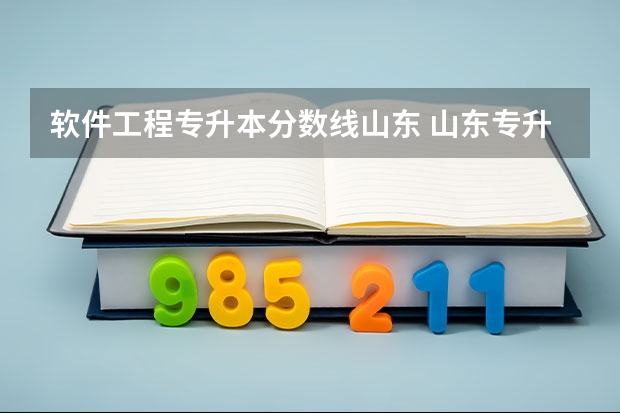软件工程专升本分数线山东 山东专升本录取分数线