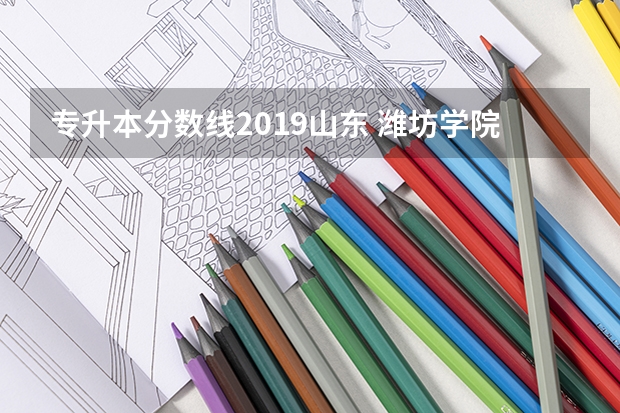 专升本分数线2019山东 潍坊学院专升本录取分数线