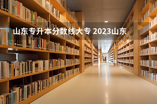 山东专升本分数线大专 2023山东专升本学校录取分数线