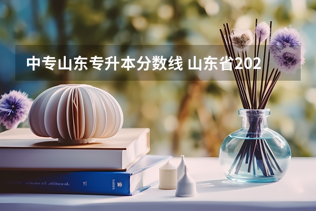 中专山东专升本分数线 山东省2023年专升本分数线