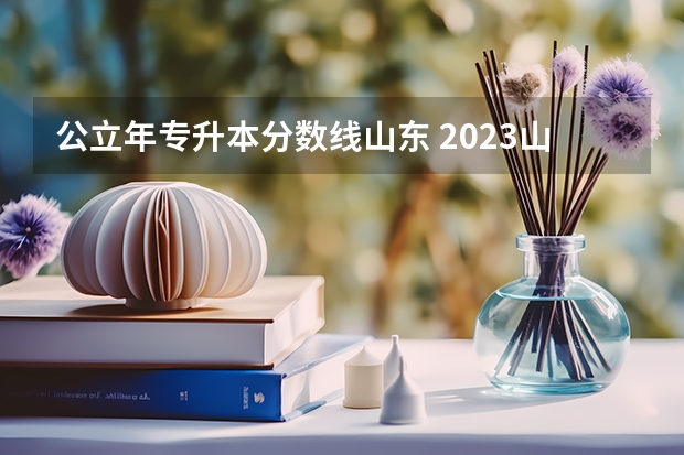 公立年专升本分数线山东 2023山东专升本分数线