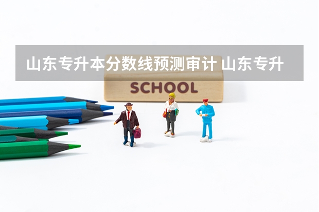 山东专升本分数线预测审计 山东专升本考试难吗 多少分稳过？
