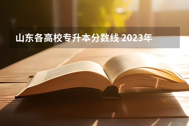 山东各高校专升本分数线 2023年专升本山东分数线
