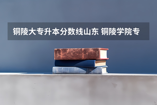 铜陵大专升本分数线山东 铜陵学院专升本录取分数线