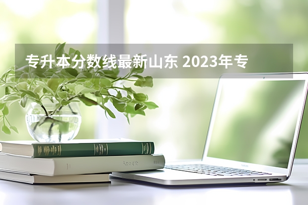 专升本分数线最新山东 2023年专升本山东分数线
