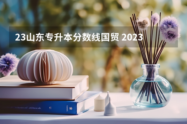 23山东专升本分数线国贸 2023年山东专升本最新分数线