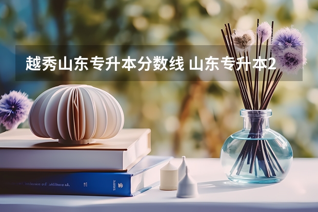 越秀山东专升本分数线 山东专升本2023录取分数线
