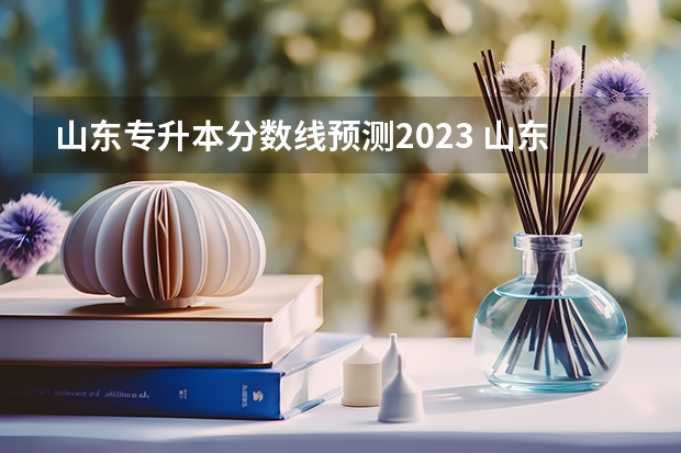 山东专升本分数线预测2023 山东2023专升本分数线预估