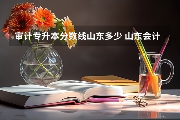审计专升本分数线山东多少 山东会计专升本分数线2023