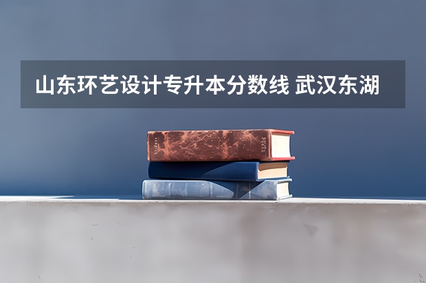 山东环艺设计专升本分数线 武汉东湖学院专升本分数线2023